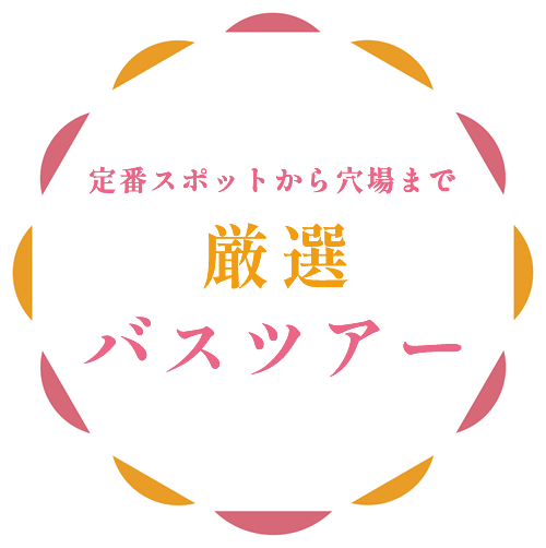 番スポットから穴場まで厳選バスツアー